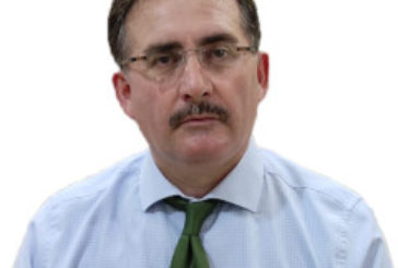 Ali'nin Hendekteki darbesi